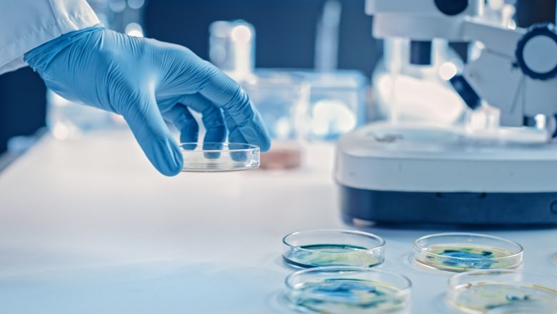Lekarz przeprowadza badanie bakteriologiczne nasienia